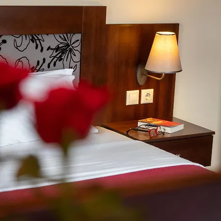 Erasmion Apartment Ano Dholiana Room photo
